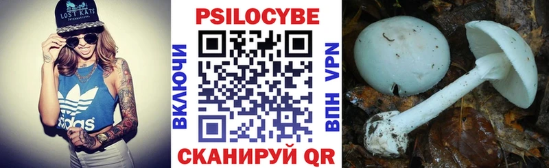 блэк спрут маркетплейс Славгород Галлюциногенные грибы Cubensis где найти