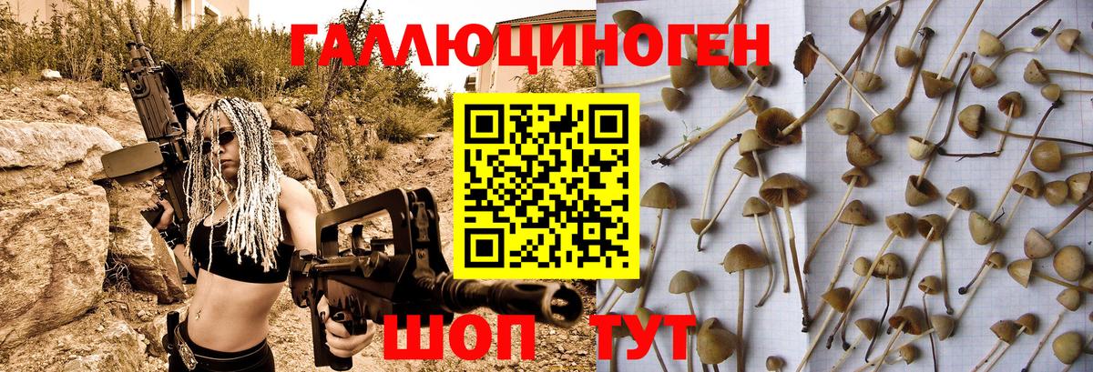 Псилоцибиновые грибы Psilocybine cubensis  Вход с VPN  Славгород  Галлюциногенные грибы прущие грибы 