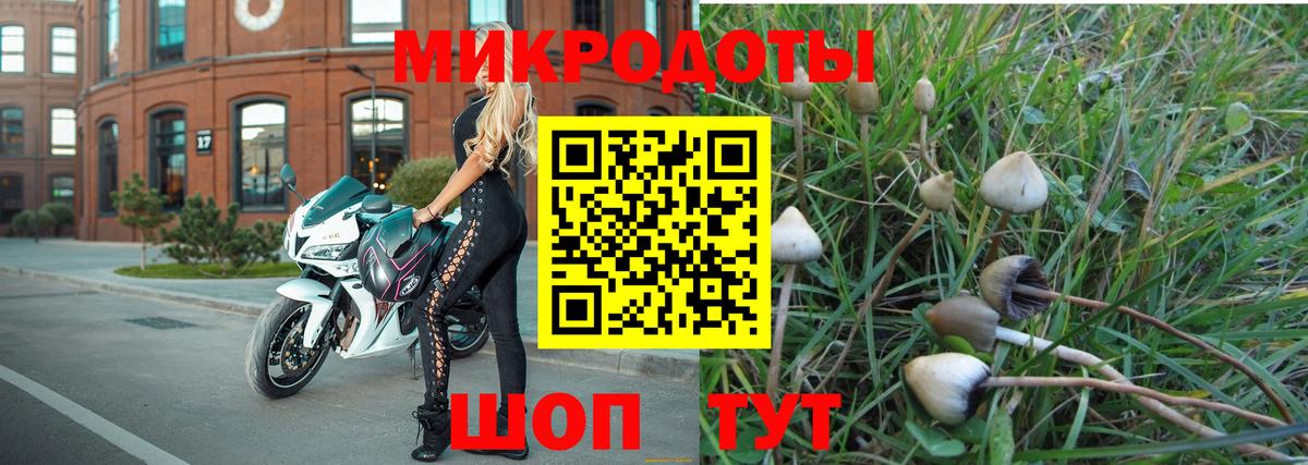 Псилоцибиновые грибы мухоморы  Галлюциногенные грибы мицелий  где купить   Славгород 