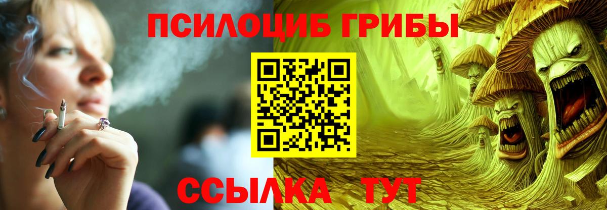 Псилоцибиновые грибы прущие грибы Славгород